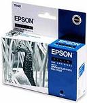 Epson Stylus Photo R300M Original T0481